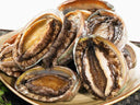 Live vs Canned Abalone: Why Freshness is the Future | Avant Marketplace