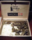 US Oysters - Live & Fresh Oysters in Singapore | Avant Marketplace