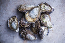 Australian Oysters - Coffin Bay Oysters - Live & Fresh Oysters in Singapore - Avant Marketplace