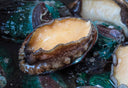 Black Gold Abalone Braised in Ginger Dashi Stock - Processed Seafood - Avant Seafood Marketplace Singapore