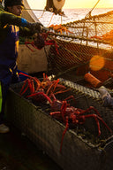 Deep Sea New Zealand Crab - Avant Marketplace Singapore