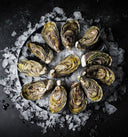 Marlborough Oysters - Live Oysters at Avant Marketplace Singapore