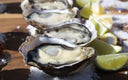 Marlborough Sounds Oysters from New Zealand - Live Oysters at Avant Marketplace Singapore