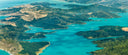 Marlborough Sounds Waters - Oysters at New Zealand - Avant Marketplace Singapore