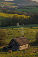 1824 Agricultral Company in Australia - Avant Marketplace Singapore