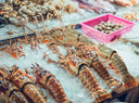 Why Live Seafood Matters: Freshness and Benefits of Buying from Avant Seafood Market