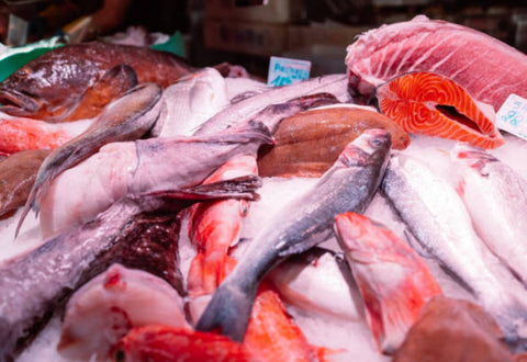 Frozen Fish in Singapore | What to Buy & Avoid | Avant Seafood Marketplace
