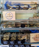 Live Oysters Singapore: Best Place to Buy Fresh Oysters | Avant Marketplace