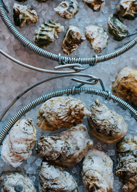 Fine de Claire Oysters: Marennes-Oléron's French Delicacy Guide