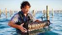 Expert Live Oyster Sourcing & Supply in Singapore | Avant Marketplace
