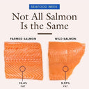Wild vs Farmed Salmon: Guide to Buying the Best Salmon | Avant Marketplace