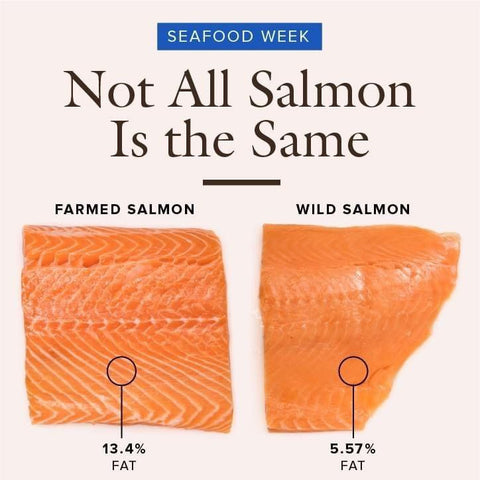 Wild vs Farmed Salmon: Guide to Buying the Best Salmon | Avant Marketplace