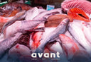 Frozen Fish | Premium Seafood | Avant Seafood Marketplace Singapore