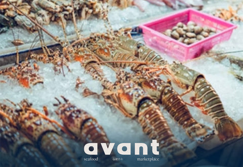 Frozen Crustaceans | Premium Prawns & Lobsters | Avant Marketplace Singapore