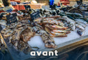 Frozen Seafood | Premium Quality & Convenient | Avant Seafood Marketplace