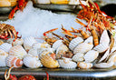 Seafood | Premium Fresh & Frozen Seafood | Avant Marketplace Singapore