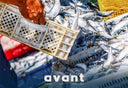Live & Premium Fish - Avant Seafood Marketplace Singapore