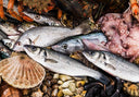 Fresh & Frozen Fish | Whole & Fillets | Avant Seafood Marketplace Singapore