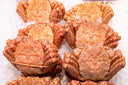 Live Japanese Kegani (600–800g)