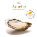 Amélie Fine de Claire French Oysters - Live & Fresh Oysters in Singapore - Avant Marketplace