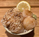 Atlantic Cape Scallops (1020) – 2.27kgpack -live frozen seafood in Singapore
