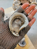BeauSoleil Canadian Oysters - Avant Marketplace Singapore