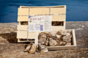 BeauSoleil Oysters Canada - Beautiful Sun - Live & Fresh Oysters in Singapore - Avant Marketplace Singapore