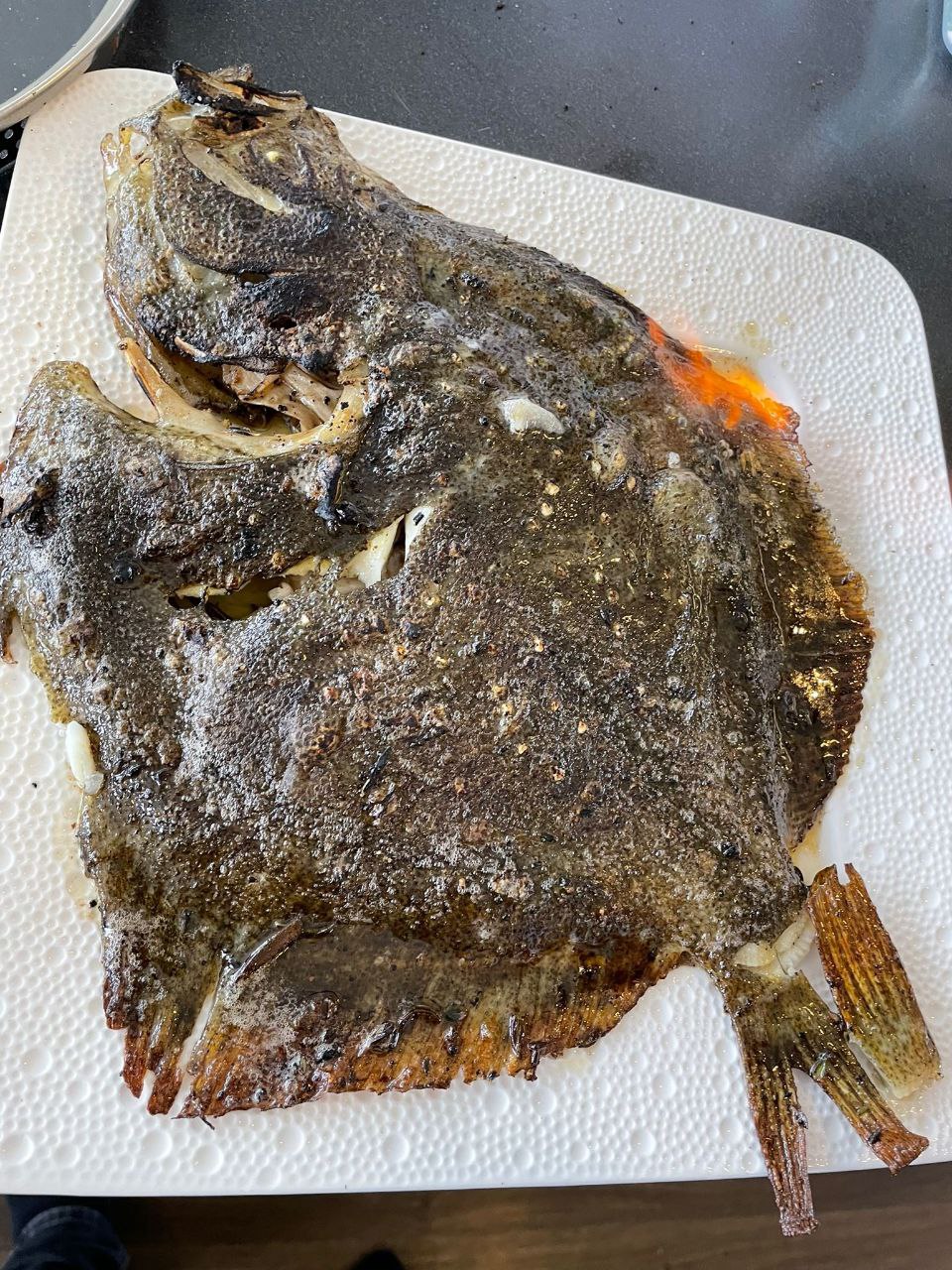 Live Korean Turbot | Seasonal Fish | Avant Seafood Marketplace Singapore