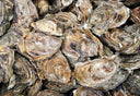 Premium Oysters for Seafood package