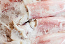 Fresh Frozen Squid Gutted 8-10 inches | Avant Seafood Marketplace Singapore