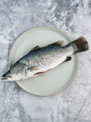 Fresh White Barramundi (Gutted & Scaled) - Processed & Frozen Seafood Singapore - Avant Seafood Marketplace
