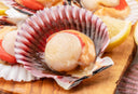 Frozen Half Shell Scallop - Frozen Seafood - Avant Marketplace Singapore
