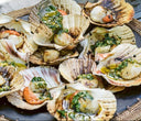 Frozen Half Shell Scallop - Frozen Seafood in Singapore - Avant Marketplace