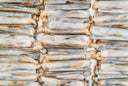 Frozen Scottish Bamboo Clams Meat - Frozen Seafood | Avant Seafood Marketplace Singapore
