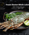 Frozen Brazil Whole Lobster 400-550g Raw - Avant Seafood Marketplace