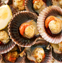Frozen Half Shell Scallop 9-10cm/pc | Frozen Seafood Singapore | Avant Seafood Marketplace