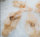 Frozen Scottish Bamboo Clams Meat - Frozen Seafood | Avant Seafood Marketplace Singapore
