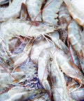 Frozen  Sea Prawn White HOSO Semi IQF “Ang Ka” - Avant Seafood Marketplace Singapore