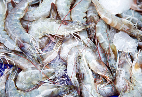 Frozen  Sea Prawn White HOSO Semi IQF “Ang Ka” - Avant Seafood Marketplace Singapore