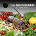 Frozen UHP Raw Whole Lobster – 450-500g - Frozen Shellfish - Avant Seafood Marketplace
