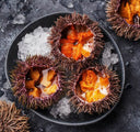Caviar, Uni & Champagne Celebration | Hokkaido Bafun Uni | Avant Fine Foods Market Place Singapore