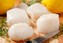 Hokkaido Japanese Scallop ( Premium Sashimi Grade ) - Frozen & Premium Seafood - Avant Marketplace Singapore