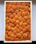 Hokkaido Bafun Uni – Premium Japanese Sea Urchin (Bara/Narabi) | Avant Seafood Marketplace Singapore