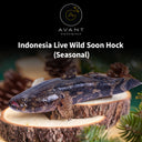 Indonesia Live Wild Soon Hock Fish (Seasonal) - Live Seafood - Avant Seafood Marketplace