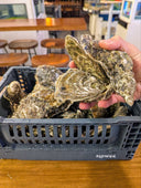Live Irish Premium Oyster No.0 ( 50-200g ) - Live Seafood Singapore