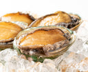 South African Live Abalone (Seasonal) - Avant Seafood Marketplace - 南非 鲍鱼 