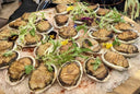 Live AbaGold Abalone - Premium and Affordable Live Abalone in Singapore - Avant Seafood Marketplace