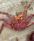 Live Alaskan King Crab | Seasonal & Live Seafood | Avant Seafood Market