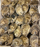 Live BeauSoleil Canadian Oysters - Avant Marketplace Singapore