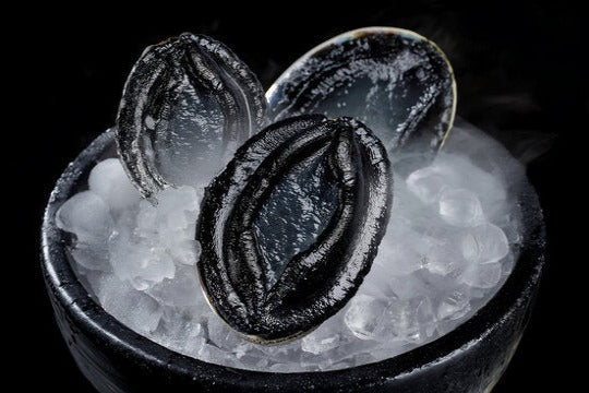 Live Black Gold Abalone (New Zealand) | Premium Seafood Singapore | Avant Marketplace | 新西兰黑金鲍